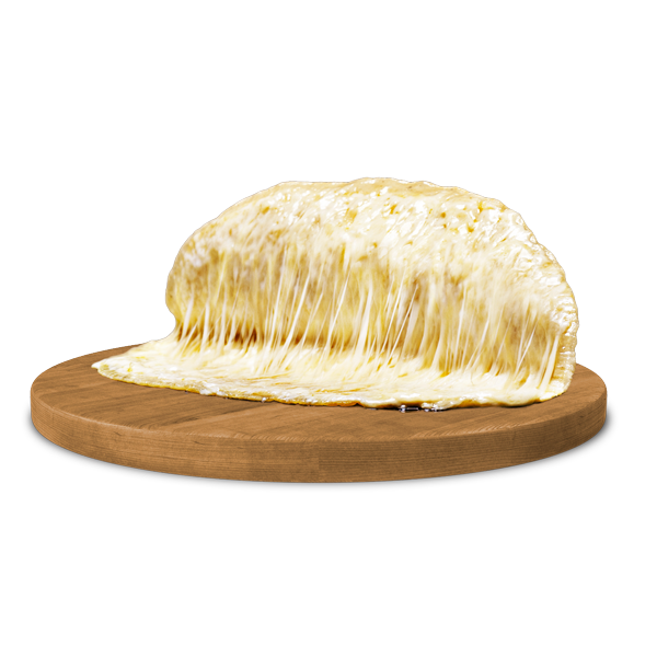 Quesadilla gigante